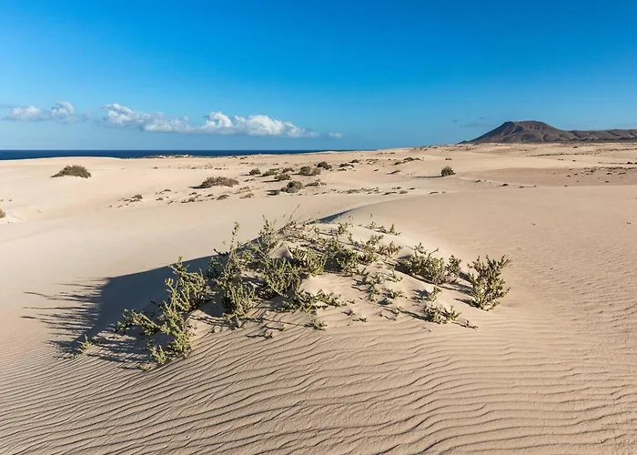 Home2book Chill Bbq Hideaway In Chalet